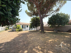 pavillon-de-plain-pied