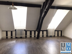 salon-sejour-