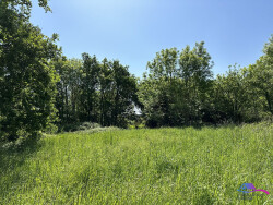 arriere-de-la-maison--