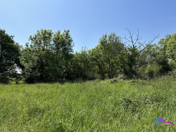 terrain