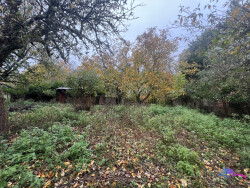 abris-au-fond-du-jardin