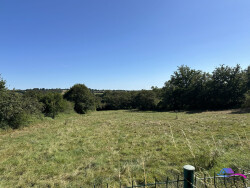 sejour-avec-poele-a-bois