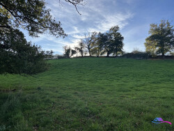 terrain--hangar-et-stabulation-