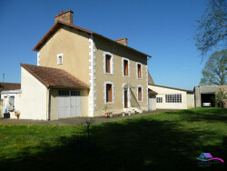 terrain-avec-le-bois