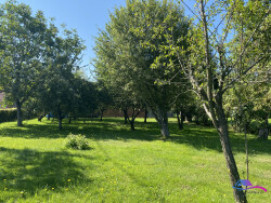 jardin-