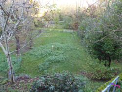 jardin