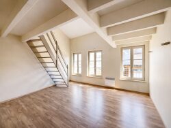 coin-cuisine-donnant-dans-sejour