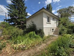 jardin-