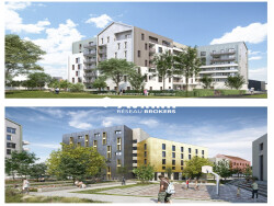 locaux-commerciaux