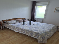 vue-parc