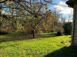 beau-jardin-arbore-espace-de-jeux