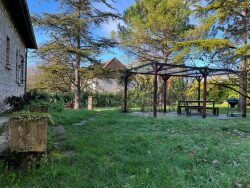 coin-barbecue-avec-vue-sur-l-etang