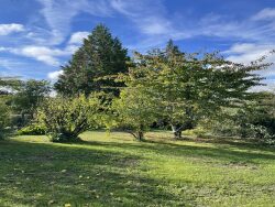 balcon-avec-jolie-vue