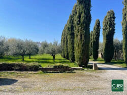 degagement-vers-l-etage-