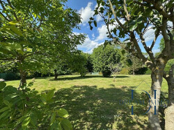 sejour-salon-avec-acces-terrasse-arriere