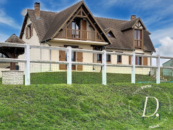 bassin-a-poisson-avec-terrasse-en-pierre