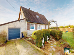 salon-avec-insert-bois-