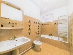 a-louer-f3-rce-orazzi-entree