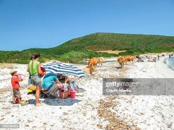 entree-donnant-sur-la-ruelle