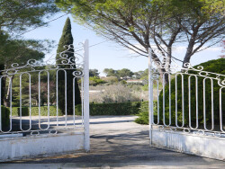 piscine--terrasse---jardin-