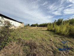 hangar-2---semi-ouvert-233m2