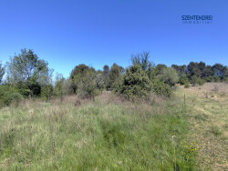 camille-moreau---szentendrei-immobilier-