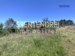 camille-moreau---szentendrei-immobilier-