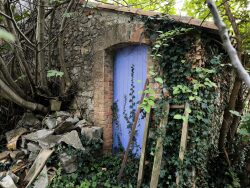 remise-de-86-m2-vue-arriere