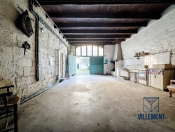 projection-piece-de-vie-remise-