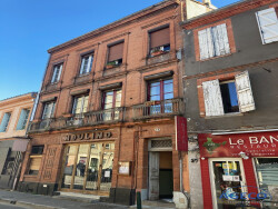 chartreuse