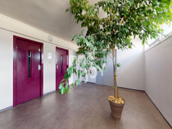 appartement-a-vendre-toulouse