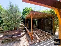 patio-barbecue