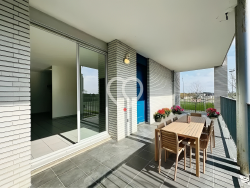 agence-immobiliere-blagnac