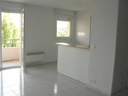 photo3