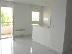 photo3