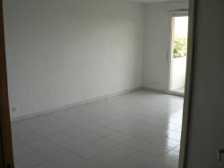 photo4