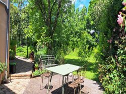 garden-trees-lawn-jardin-arbres-