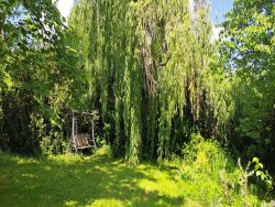 raised-beds-garden-trees-arbres-potager