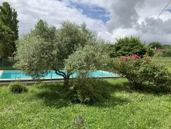 salon--salle-a-manger-expo-sud-et-est