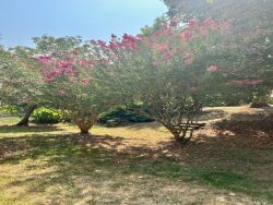 maison-contemporaire--eauze-