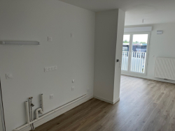 photo8