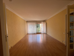 photo19