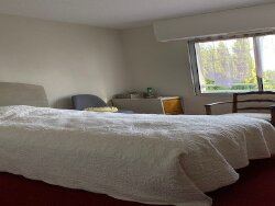 photo6