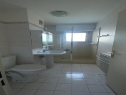 photo8