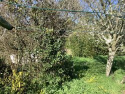 cote-ouest--couchant