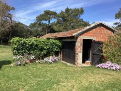 garage-et-dependance