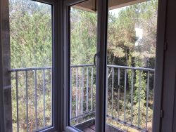 vue-foret