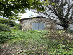 cours-arboree