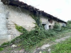 facade-sud