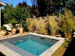 espace-repas-sous-pergola